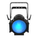 chauvet_ovation_p56c_2.webp